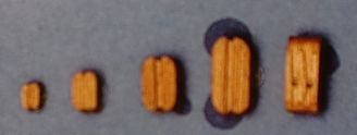 Klumpblöcke, Holz, hell, mit 2 Rillen, 3 mm, 20 Stück