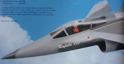 Dassault-Breguet RAFALE C.  (Spannw. 134 cm)